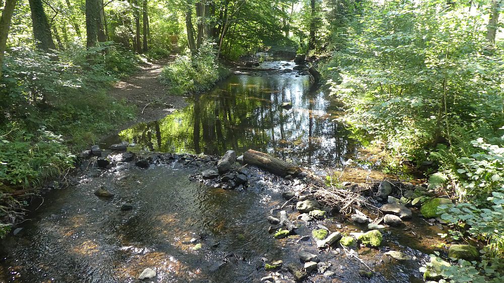 Eifelsteig