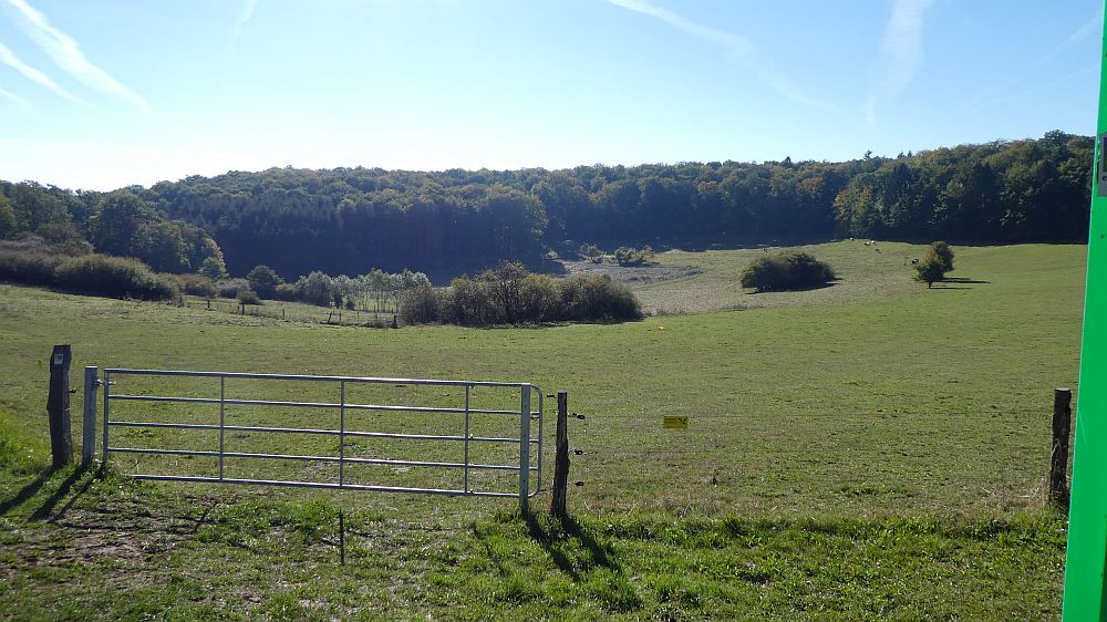 Eifelsteig