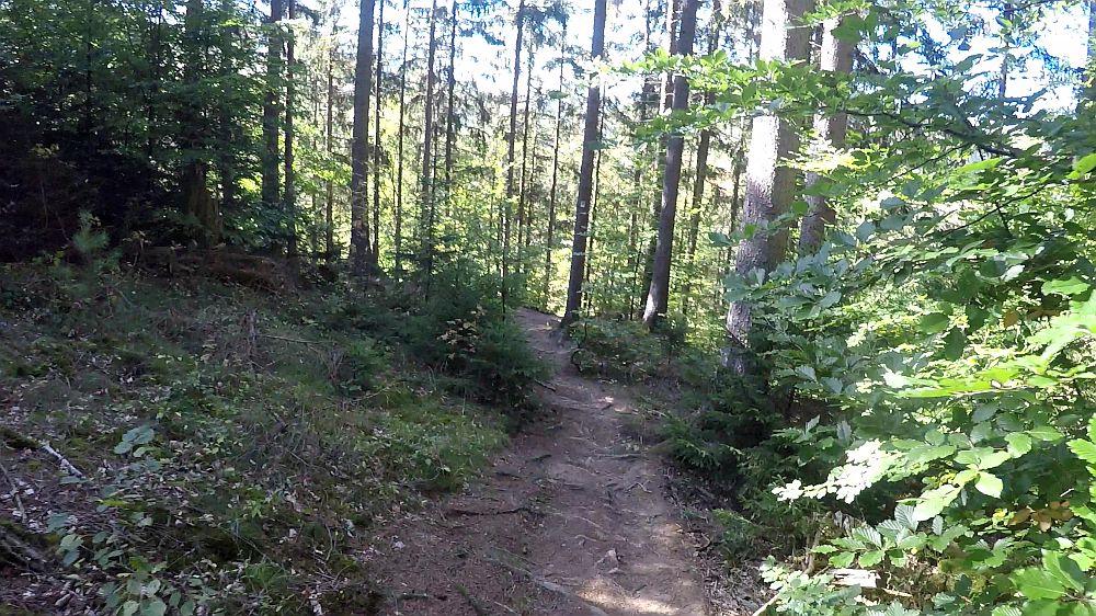 Eifelsteig