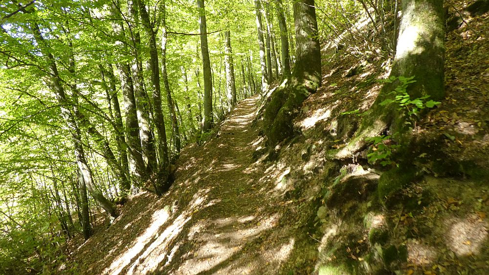 Eifelsteig