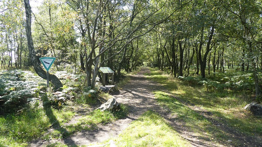 Eifelsteig