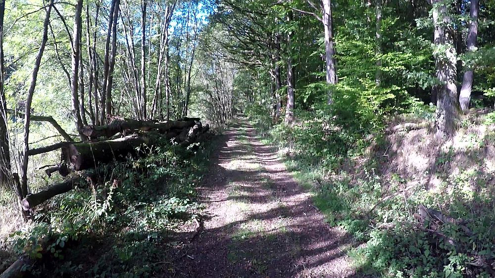 Eifelsteig
