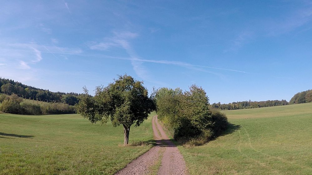 Eifelsteig