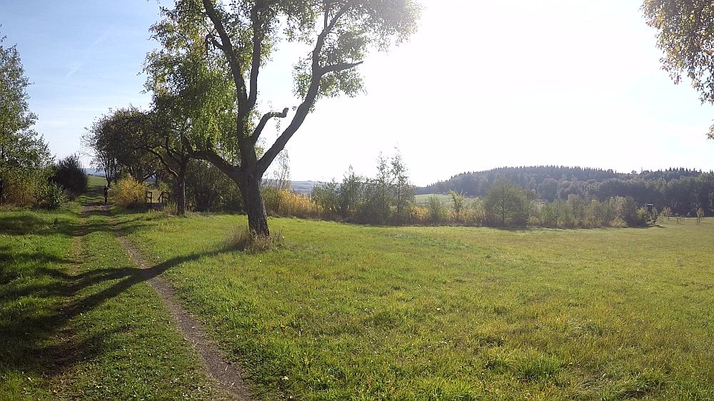 Eifelsteig