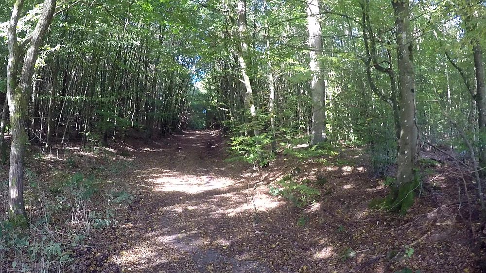 Eifelsteig