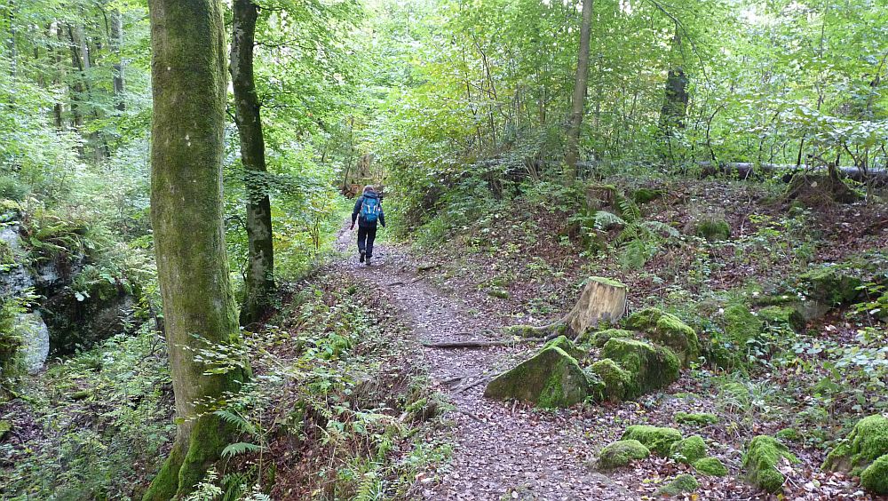 Eifelsteig