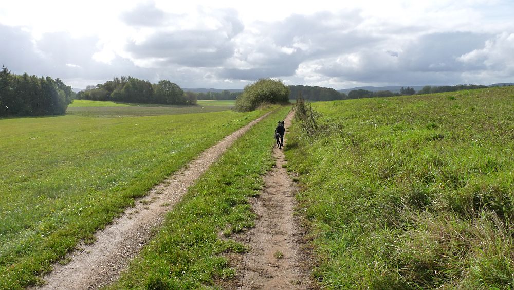 Eifelsteig