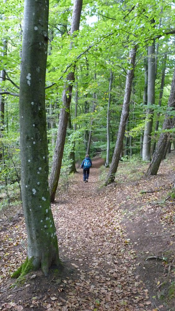 Eifelsteig