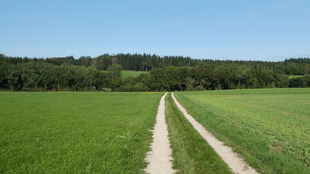 Eifelsteig