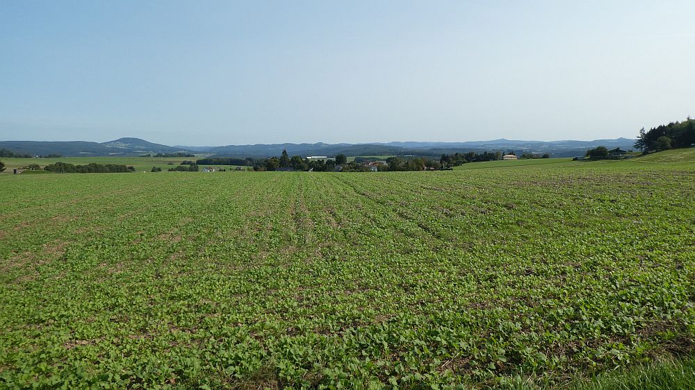 Eifelsteig