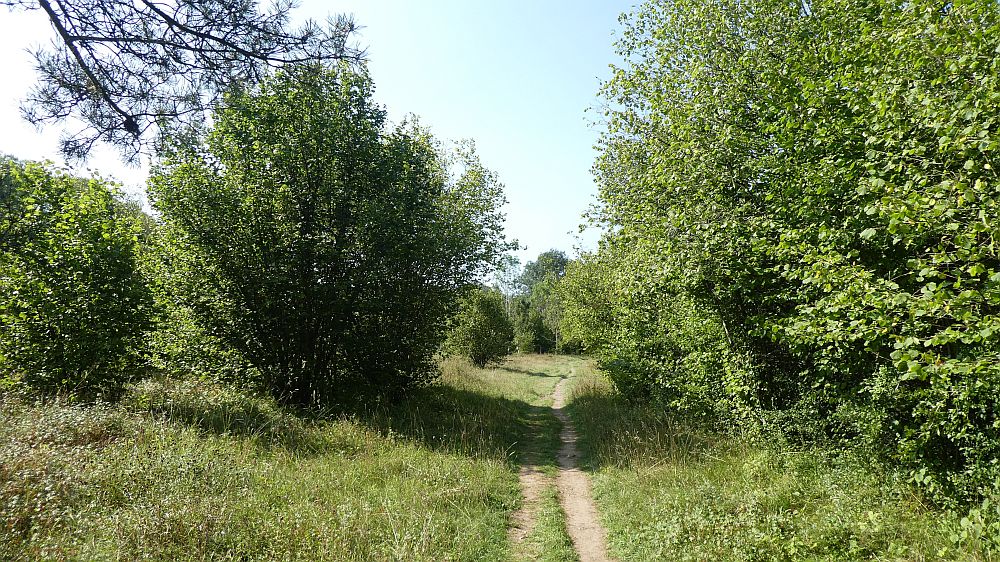 Eifelsteig