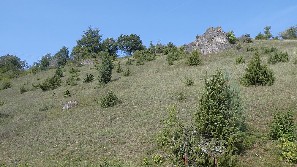 Eifelsteig