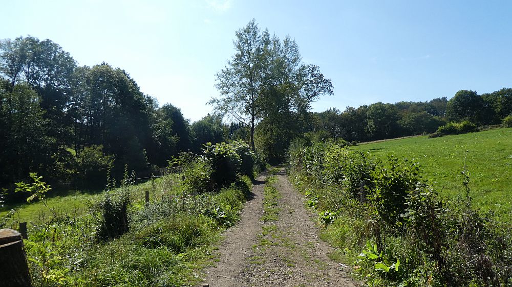 Eifelsteig