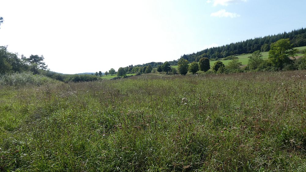 Eifelsteig