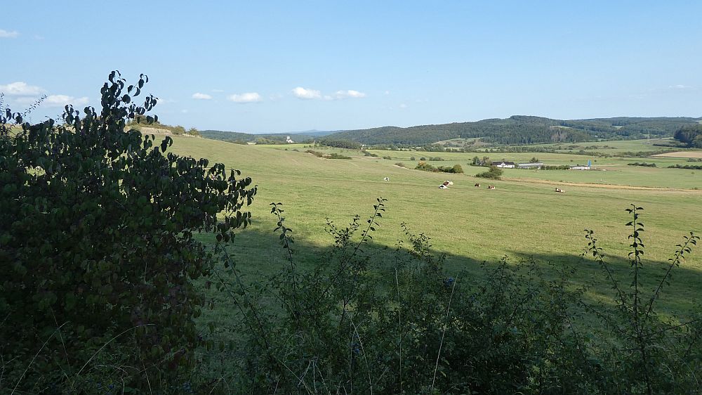 Eifelsteig