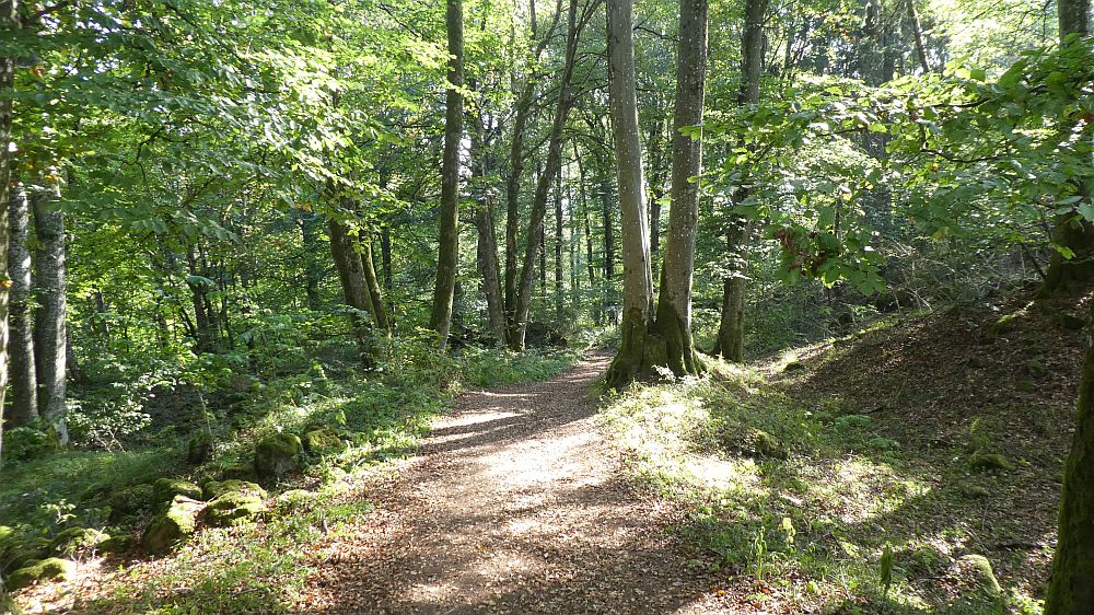 Eifelsteig