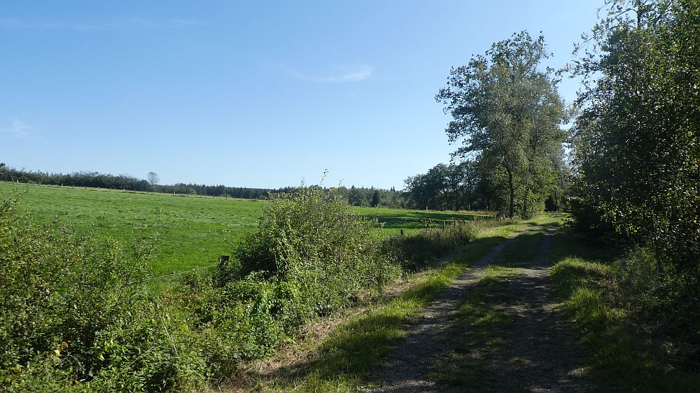 Eifelsteig
