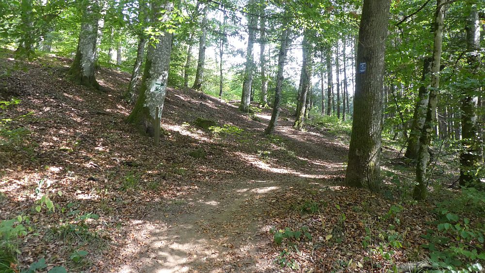 Eifelsteig