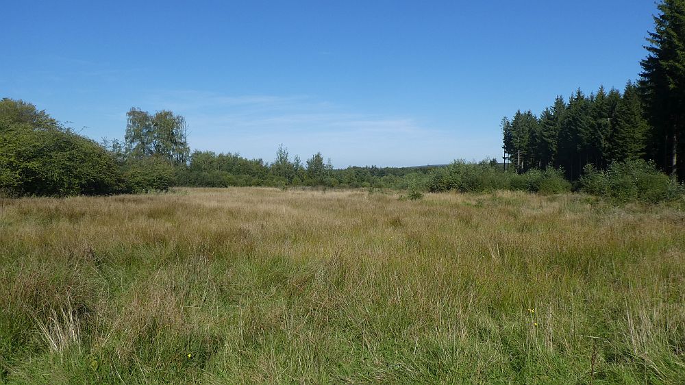 Eifelsteig