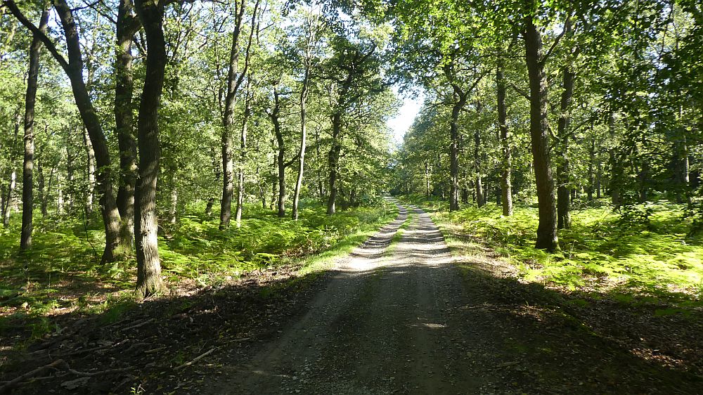 Eifelsteig