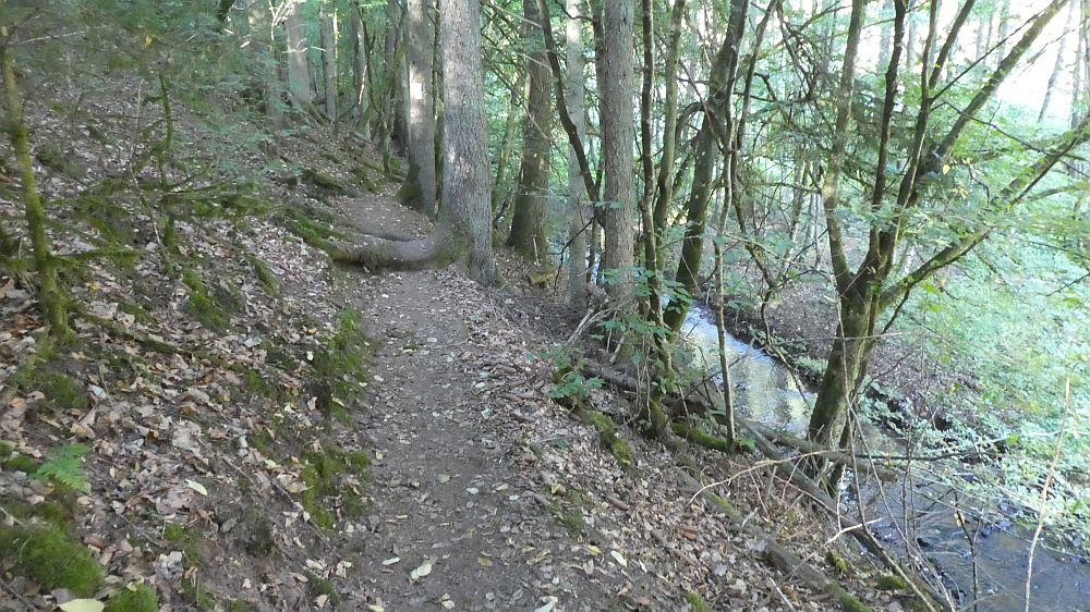 Eifelsteig