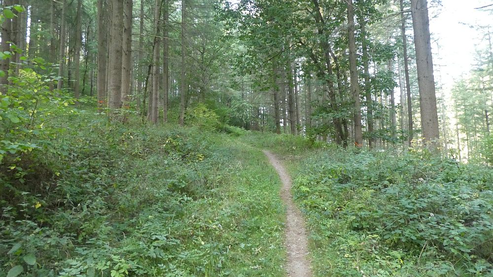 Eifelsteig