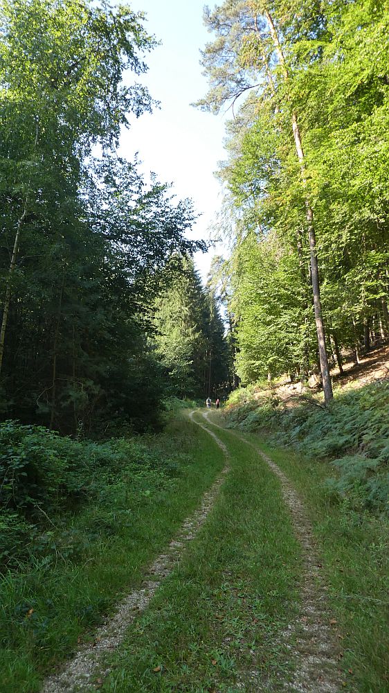 Eifelsteig