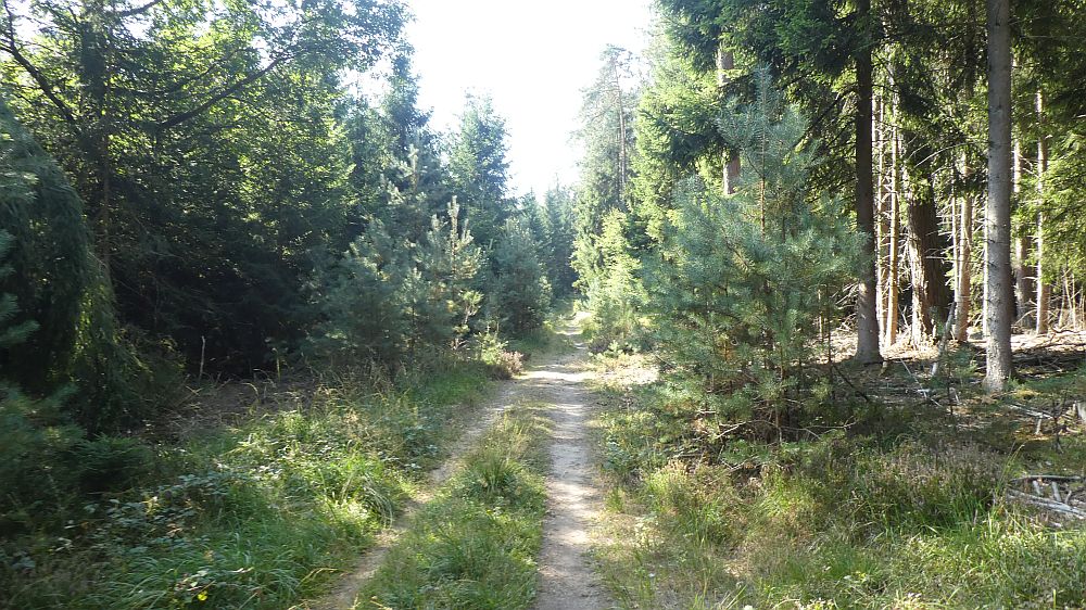Eifelsteig
