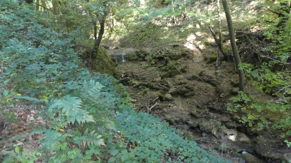 Eifelsteig