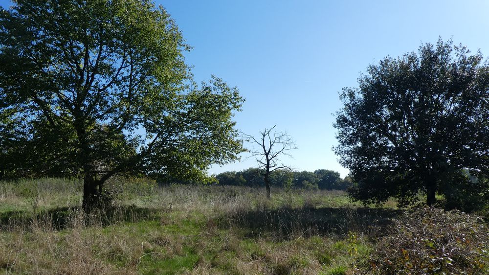 Eifelsteig