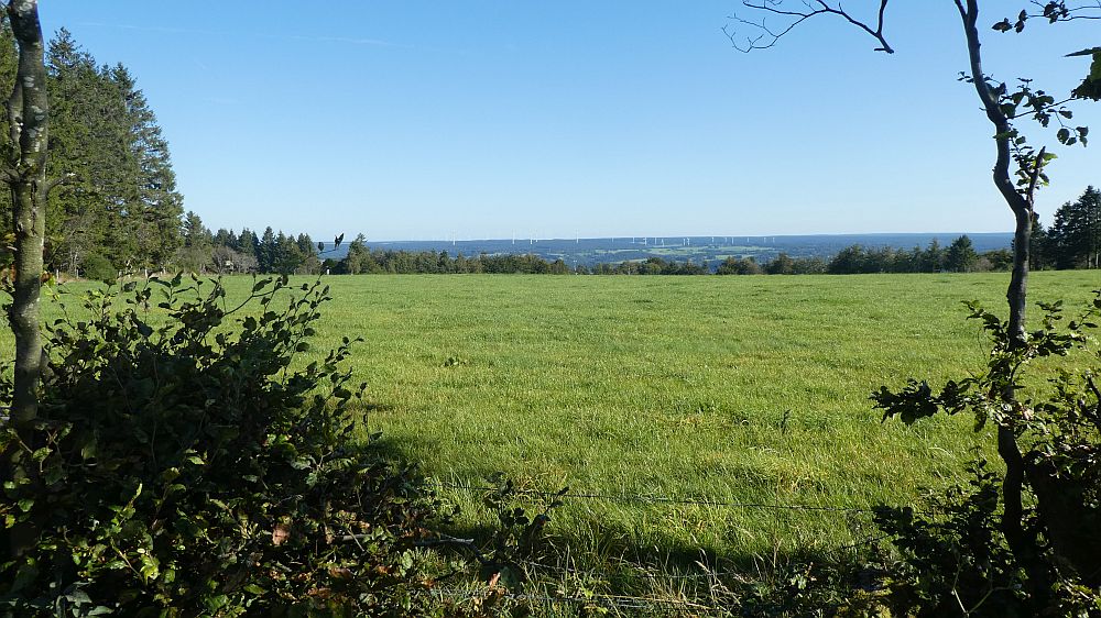 Eifelsteig