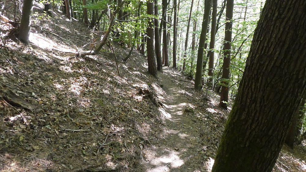 Eifelsteig