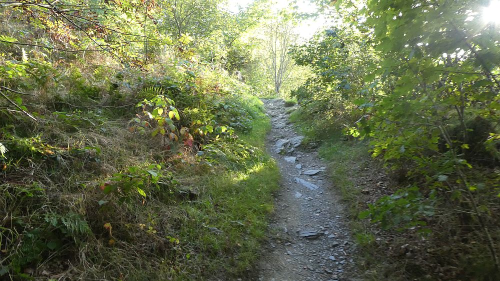 Eifelsteig