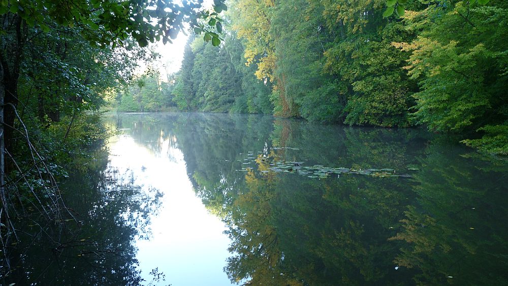 Eifelsteig