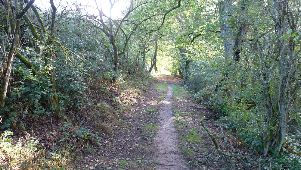Eifelsteig