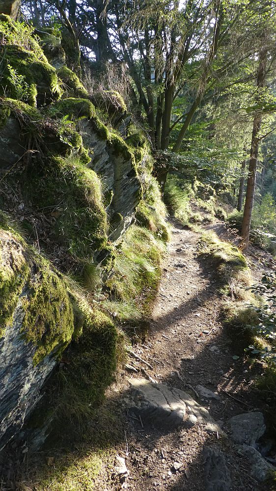 Eifelsteig