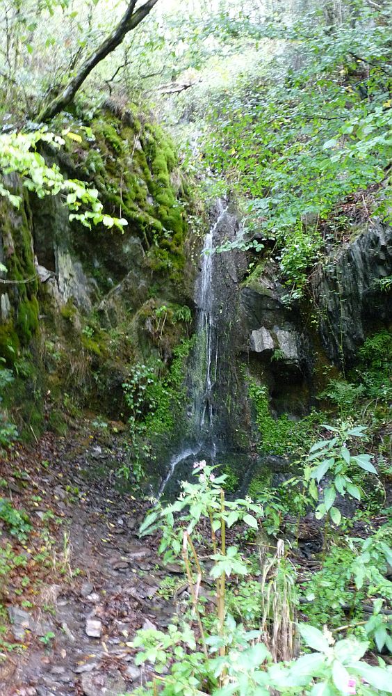 Eifelsteig