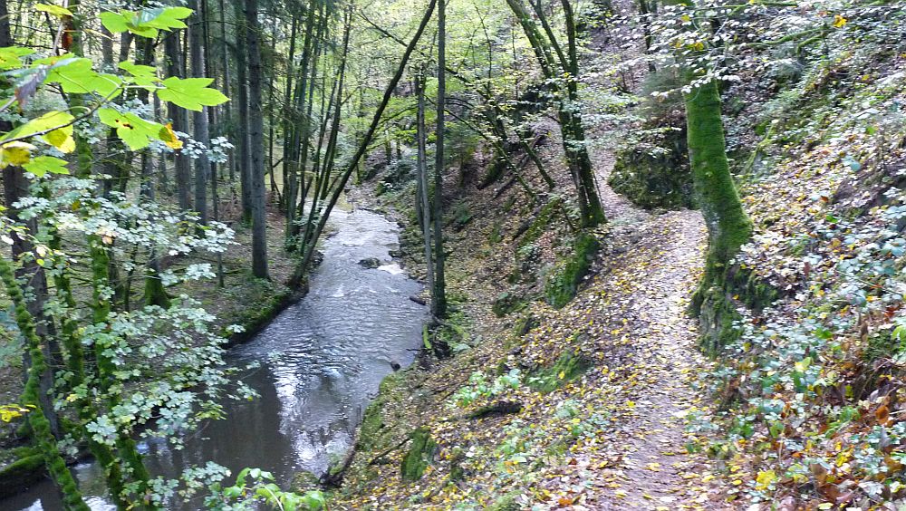 Eifelsteig