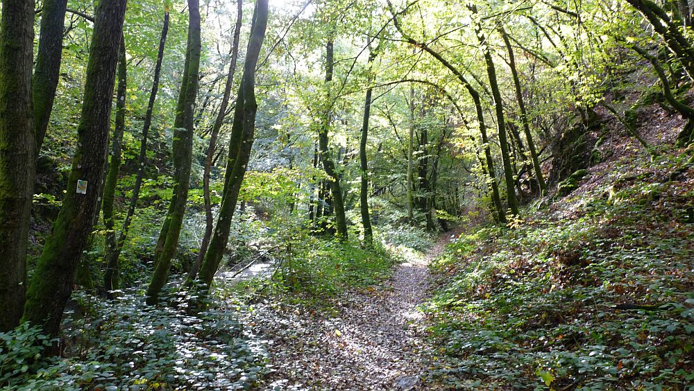 Eifelsteig