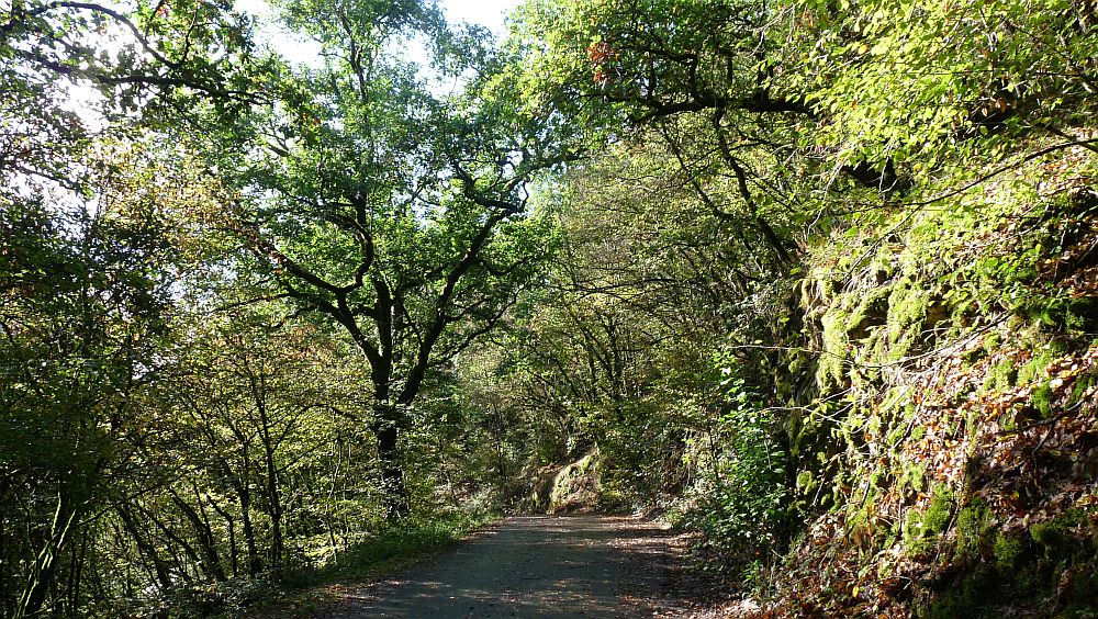 Eifelsteig