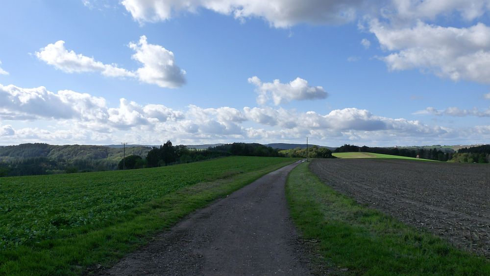 Eifelsteig