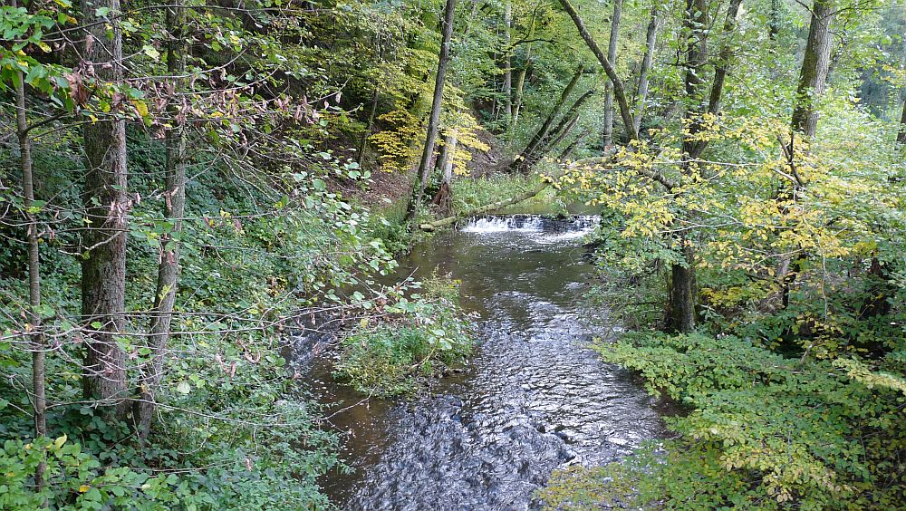 Eifelsteig