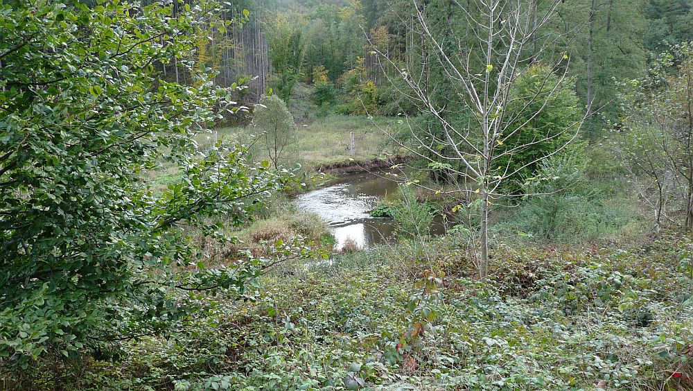 Eifelsteig