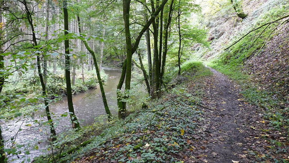Eifelsteig