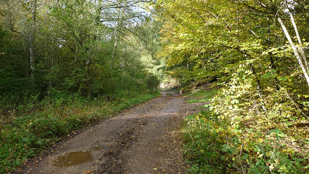 Eifelsteig