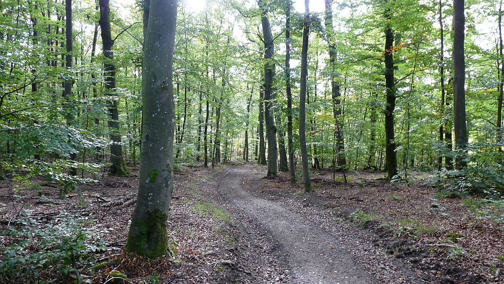Eifelsteig
