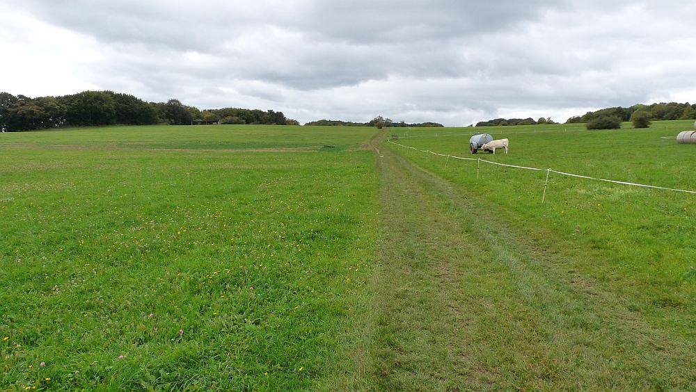 Eifelsteig