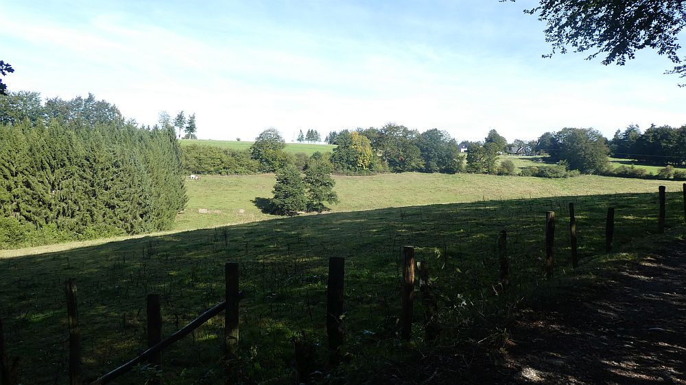 Eifelsteig
