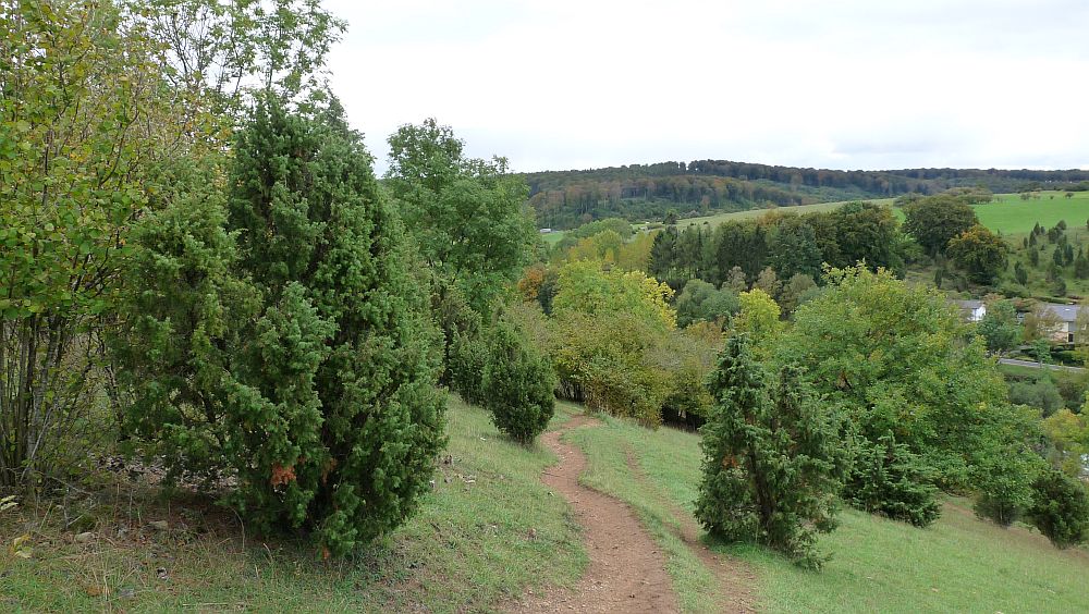 Eifelsteig