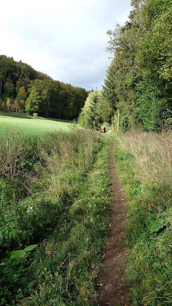 Eifelsteig
